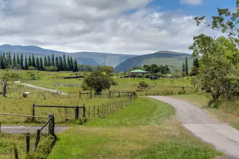 47-5254 Waikoekoe Ln, Honokaa, HI 96727