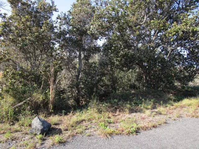  92-2220 Palm Pkwy, Ocean View, HI 96737 photo 5
