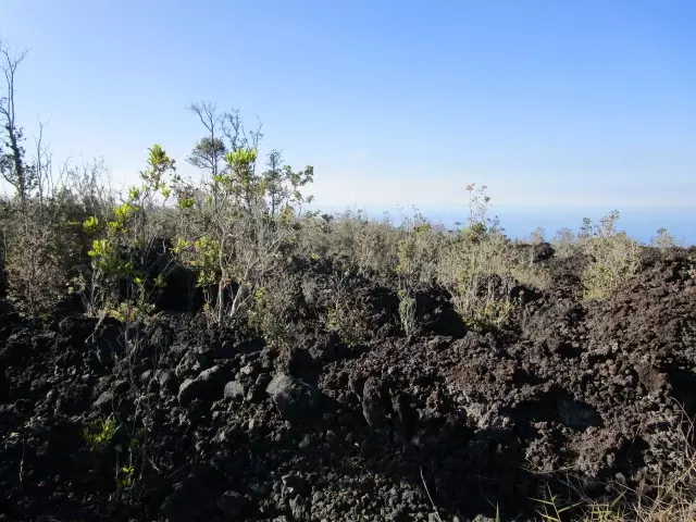  92-2220 Palm Pkwy, Ocean View, HI 96737 photo 7