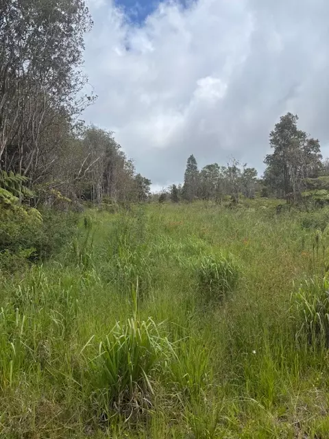 Glenwood Rd, Volcano, HI 96785 photo 5