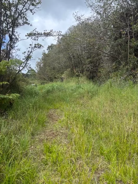 Glenwood Rd, Volcano, HI 96785 photo 6