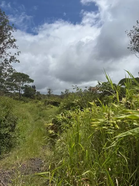 Glenwood Rd, Volcano, HI 96785 photo 3