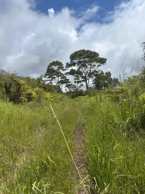 Glenwood Rd, Volcano, HI 96785 photo 4
