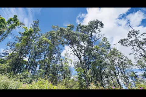 Stardust Dr, Pahoa, HI 96778
