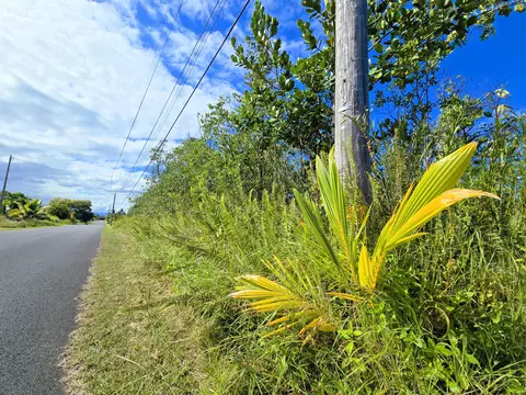 29 Th Ave, Keaau, HI 96749