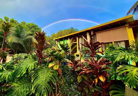 12-7022 Akanikolea St, Pahoa, HI 96778