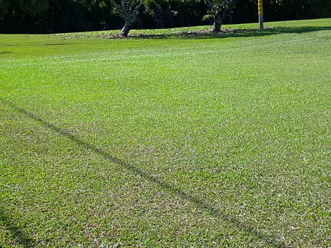 Kahoa Pl, Hilo, HI 96720 photo 13