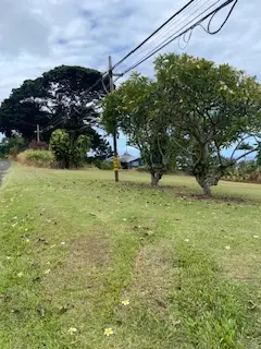 Kahoa Pl, Hilo, HI 96720 photo 4