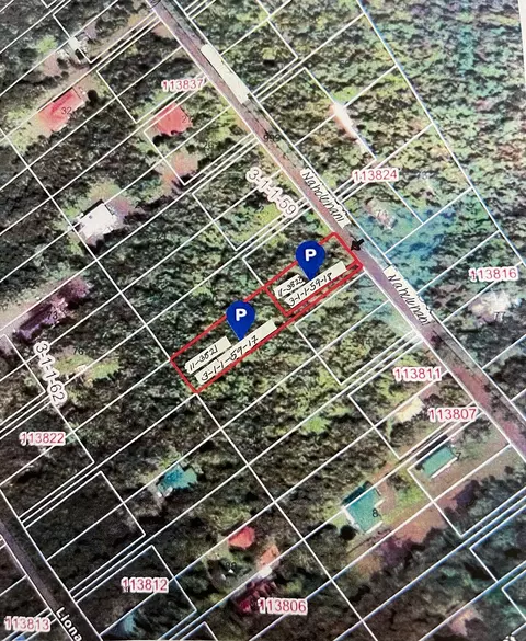 11-3821 Nahelenani St, Volcano, HI 96785