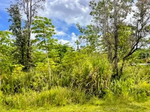 Moaniala St, Pahoa, HI 96778