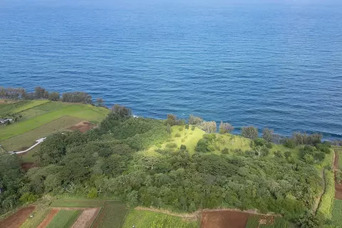 28-110 Kulaimano Homestead Rd, Pepeekeo, HI 96783