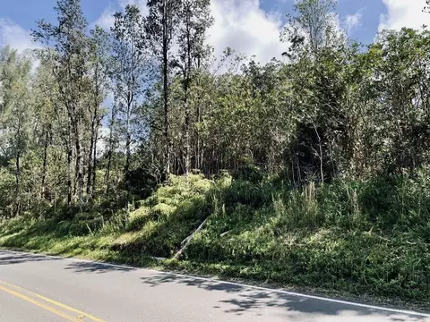 Road 8, Mountain View, HI 96760