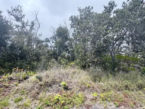 Koa Ln, Ocean View, HI 96737 photo 2
