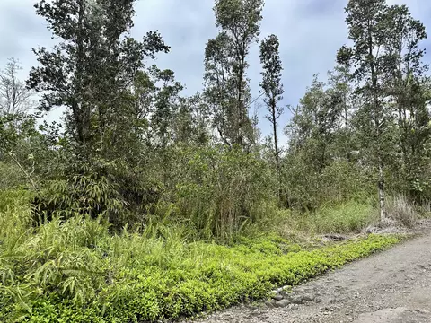 16-1310 Poouli Rd, Kurtistown, HI 96760
