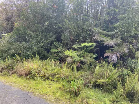 Road 4, Volcano, HI 96785