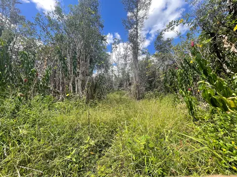 Road 11, Kurtistown, HI 96760