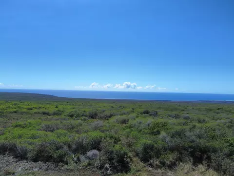 Wakea Ave, Naalehu, HI 96772
