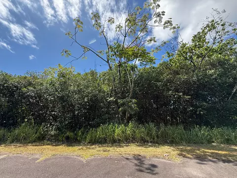 Wehelauniu St, Pahoa, HI 96778