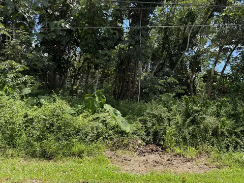Oio St, Pahoa, HI 96778