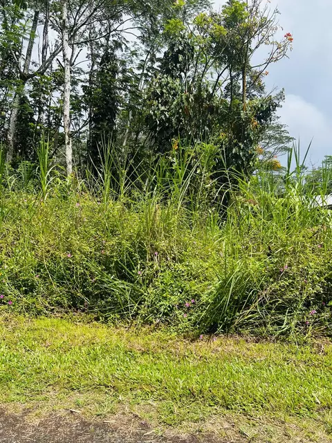 Niihau Rd, Pahoa, HI 96778
