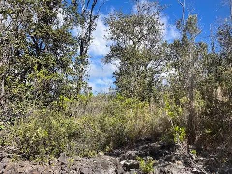 Palm Pkwy, Ocean View, HI 96737