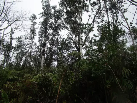 Road 8, Mountain View, HI 96760