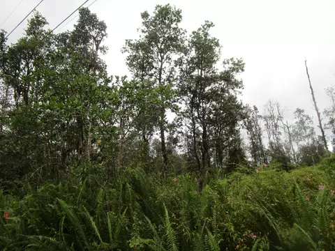 Kauai Rd, Pahoa, HI 96778