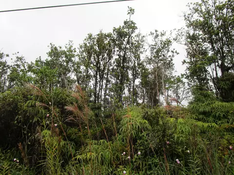 Malia Aina Rd, Volcano, HI 96785