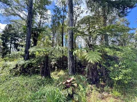 Punahele Ave, Mountain View, HI 96771