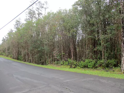 Hibiscus St, Mountain View, HI 96771