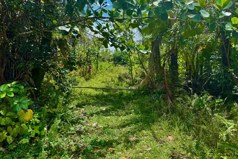 15-1846 1st Ave, Keaau, HI 96749