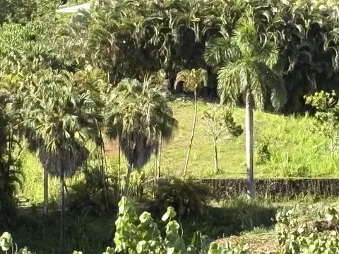 6631 Kipapa Rd # -A, Kapaa, HI 96746