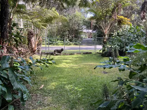2 Nd St, Volcano, HI 96785 photo 8