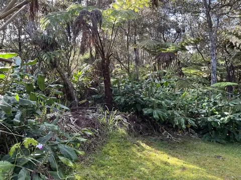 2 Nd St, Volcano, HI 96785 photo 13