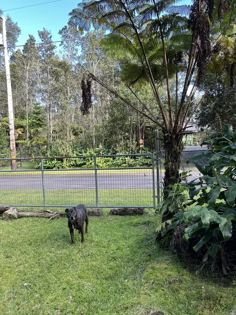 2 Nd St, Volcano, HI 96785 photo 7