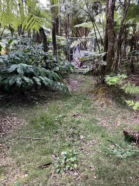 2 Nd St, Volcano, HI 96785 photo 11