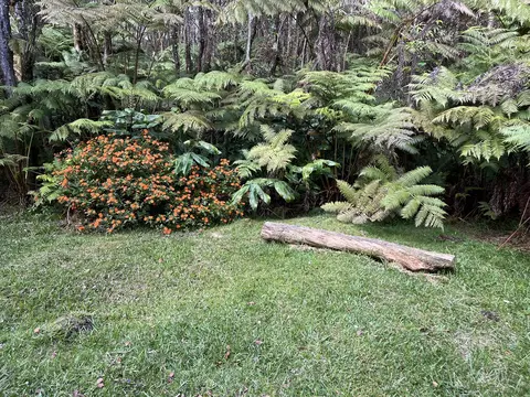 2 Nd St, Volcano, HI 96785 photo 10