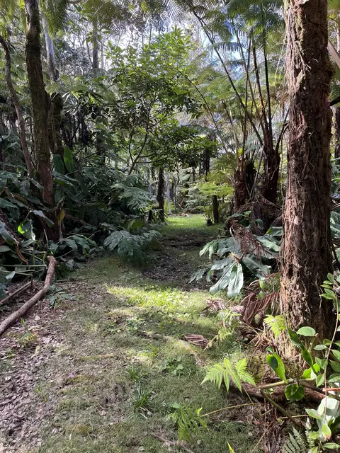 2 Nd St, Volcano, HI 96785 photo 12