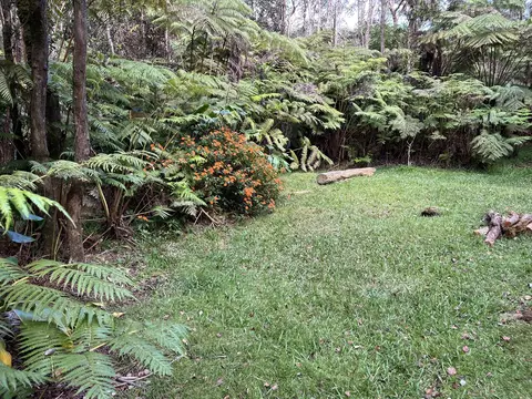2 Nd St, Volcano, HI 96785 photo 9