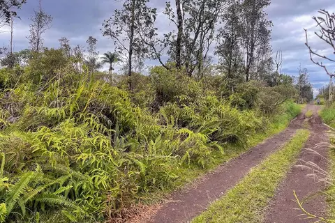 Road 7, Mountain View, HI 96760 photo 6