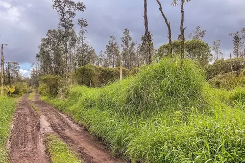 Road 7, Mountain View, HI 96760 photo 7