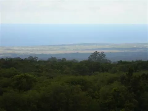 18-4480 Makaala Rd, Mountain View, HI 96771