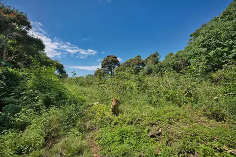 Undisclosed, Kealakekua, HI 96750