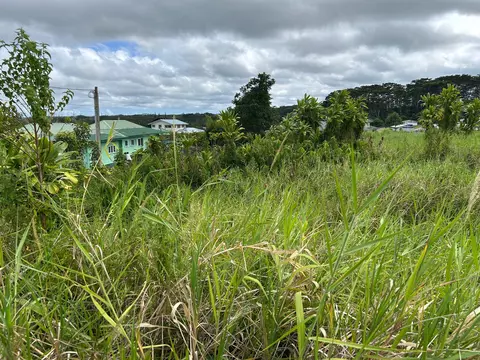 17-333 Palaai St, Keaau, HI 96749
