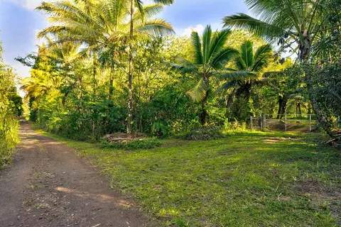 Papaya Farms Rd, Pahoa, HI 96778