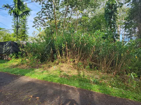 Seaview Rd, Pahoa, HI 96778