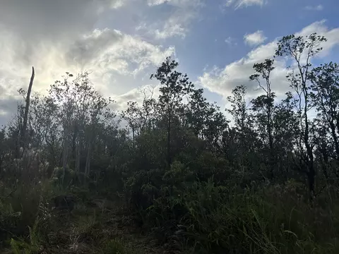 Mailenani Rd, Volcano, HI 96785