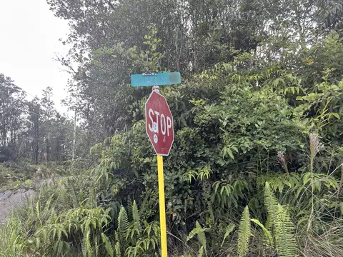 Mailenani Rd, Volcano, HI 96785 photo 7