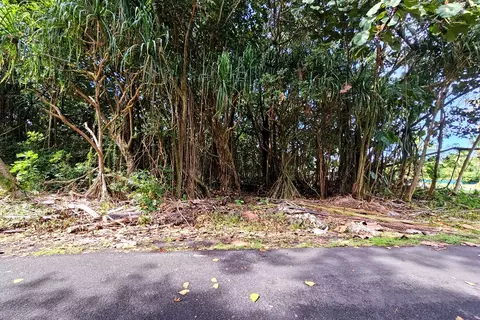 Papai St, Pahoa, HI 96778