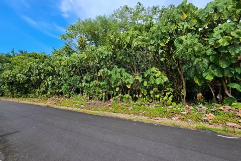 Papai St, Pahoa, HI 96778